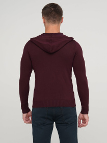 Джемпер Trend Collection модель TC2760BordoSVTRMN Фото