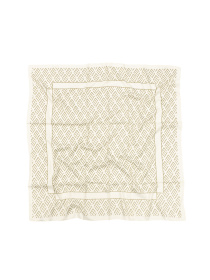 Платок Famo модель APL-277_04 Фото