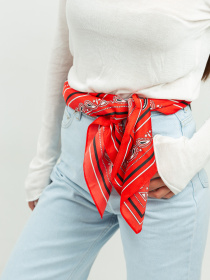 Хустка Famo модель APL-157_04 Фото