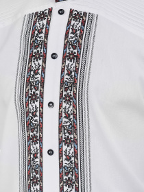 Вышитая рубашка Едельвіка модель 265-19-09 Вышитая рубашка Едельвіка модель 265-19-09 Фото