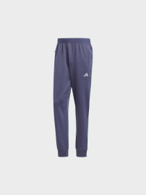 Штани спортивні Adidas модель IW8416 Фото