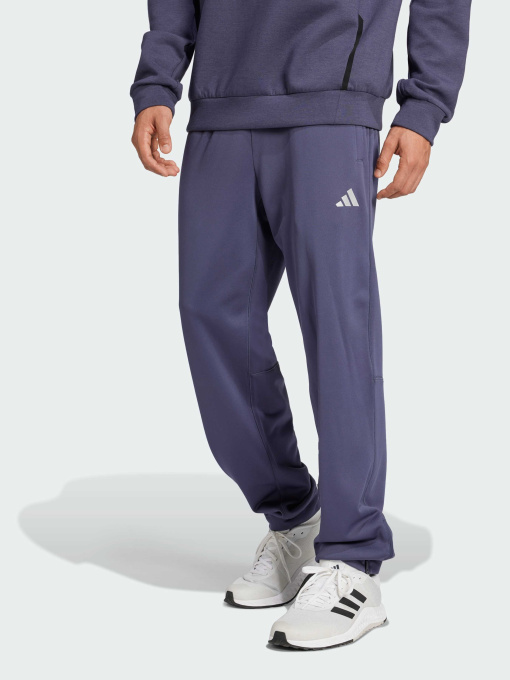 Штаны спортивные Adidas модель IW8416 Фото