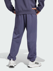 Спортивні штани Adidas модель IW8416 Фото