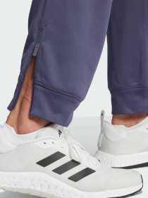 Спортивні штани Adidas модель IW8416 Фото