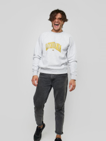 Свитшот YAPPI модель MSWG1463 Фото