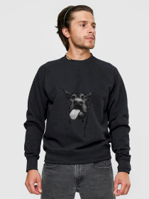 Свитшот YAPPI модель MSWB1344 Фото