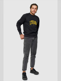 Свитшот YAPPI модель MSWB1482 Фото