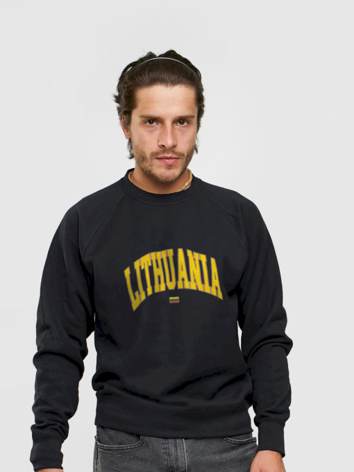 Свитшот YAPPI модель MSWB1482 Фото