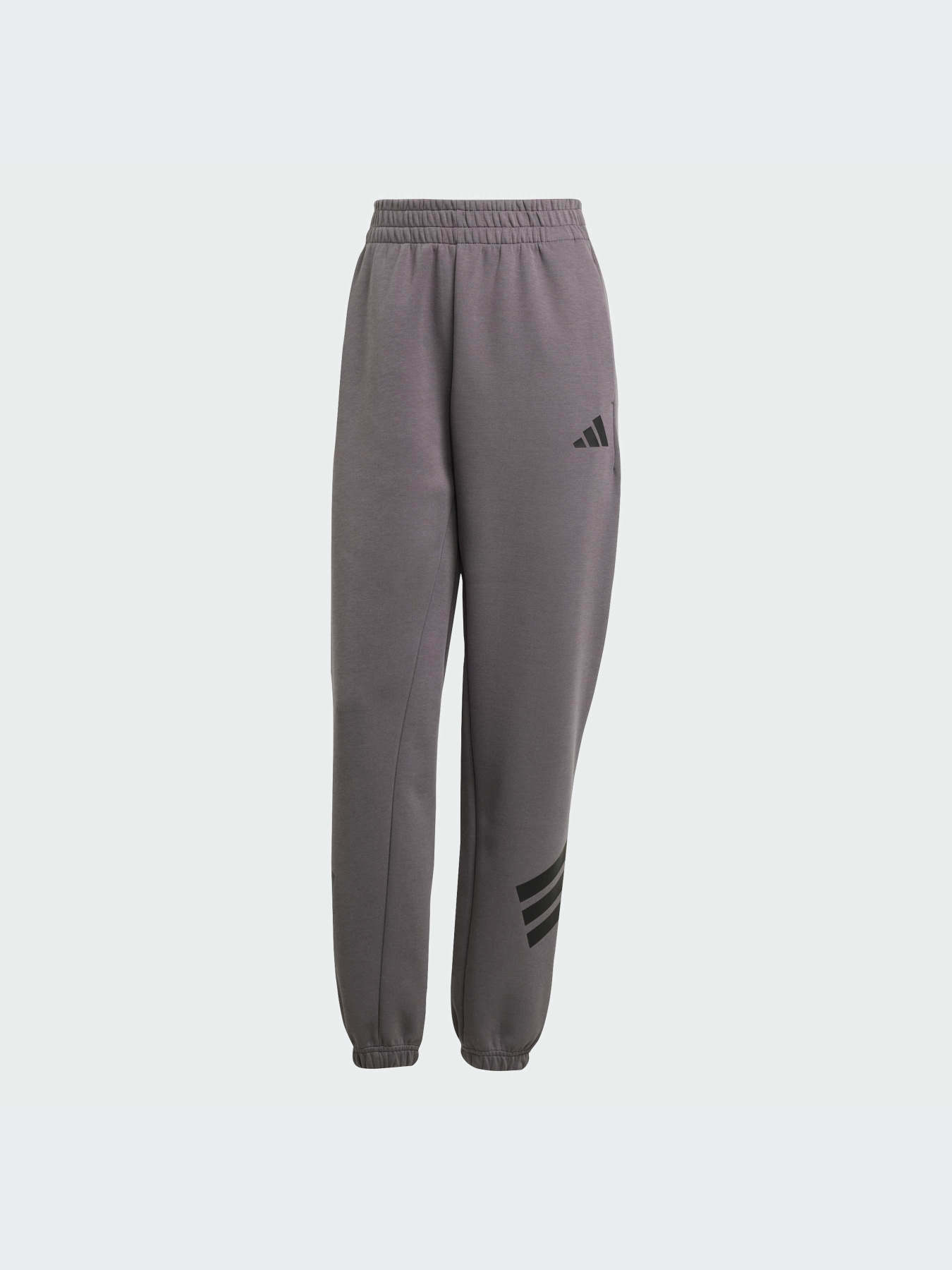 Брюки Adidas модель JE0163-KZ Фото