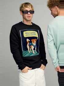 Свитшот YAPPI модель BSMB10113 Фото