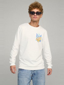 Свитшот YAPPI модель BSMW10059 Фото