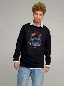 Свитшот YAPPI модель BSMB30059 Фото