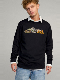 Свитшот YAPPI модель BSMB30070 Фото