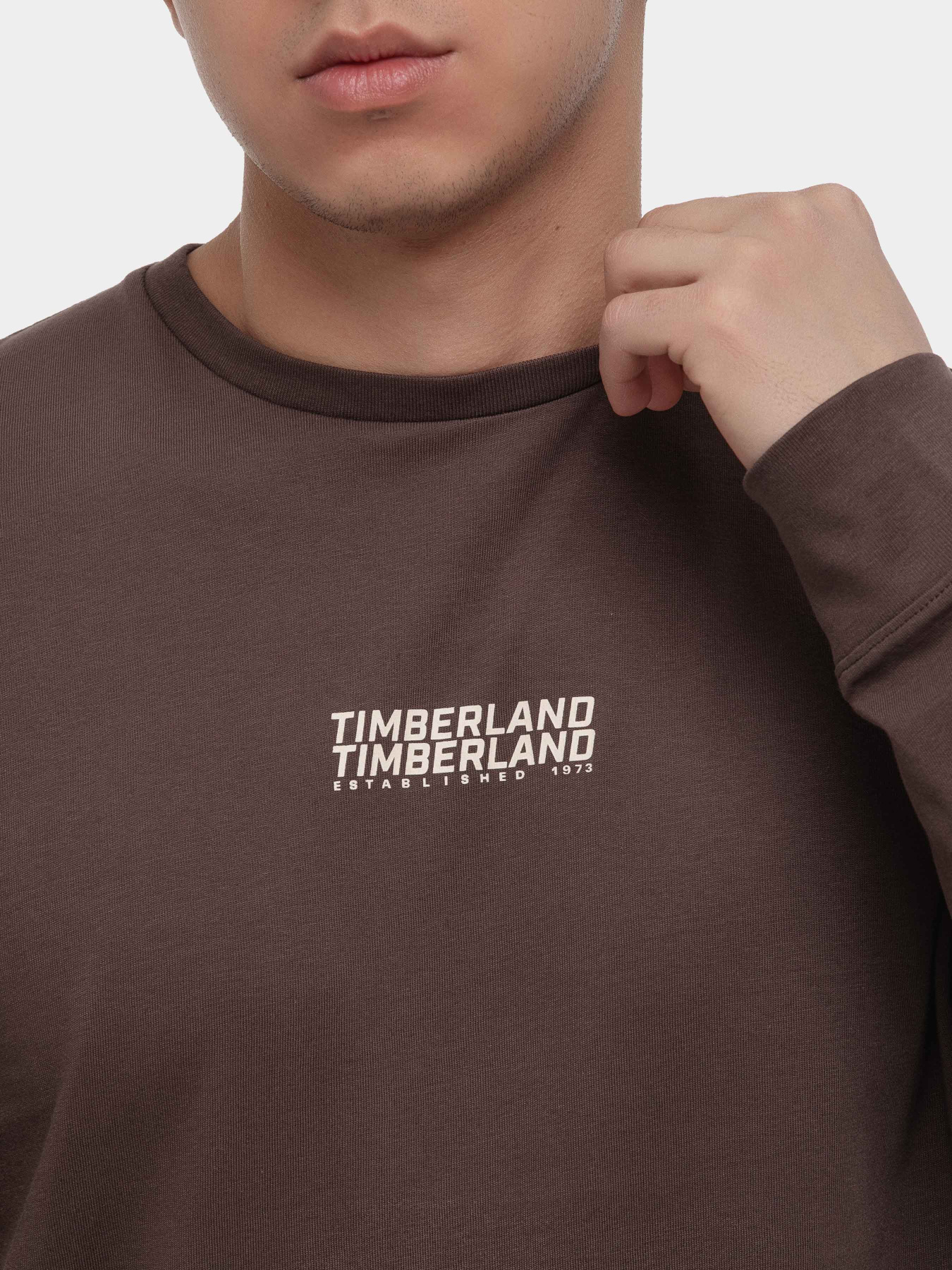 Худи и свитшоты Timberland модель TB0A2A8B243 Фото