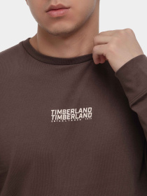 Худи и свитшоты Timberland модель TB0A2A8B243 Фото