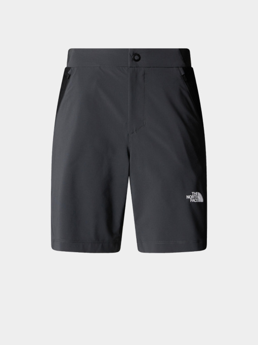 Шорты The North Face модель NF0A8BT4MN81 Фото