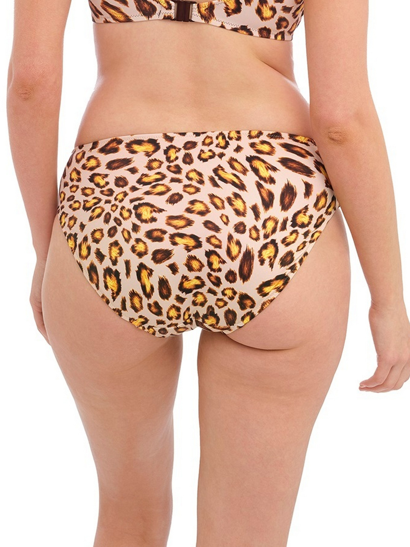 Нижня частина купальника Fantasie Kabini Oasis Модель 502172 Фото