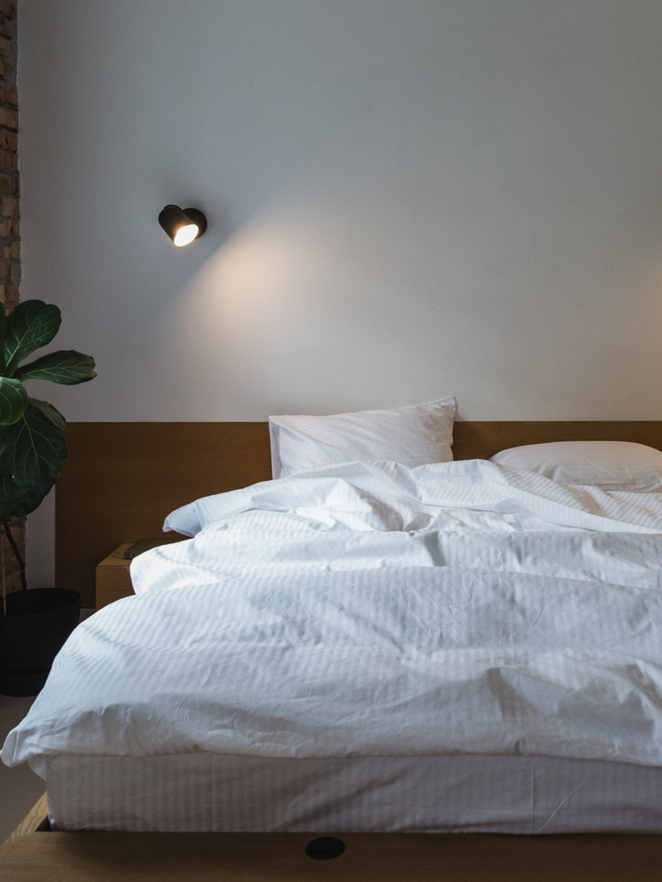 Комплект постельного белья из Страйп-сатина белого цвета с узкой полоской Ecotton модель 25143 Фото