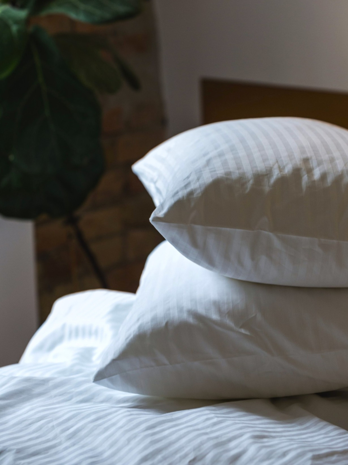 Комплект постільної білизни зі Страйп-сатину білого кольору з вузькою полоскою Ecotton модель 25143 Фото