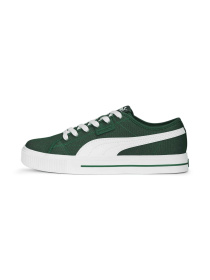 Кеды низкие PUMA Ever Fs Cv модель 386393 Фото