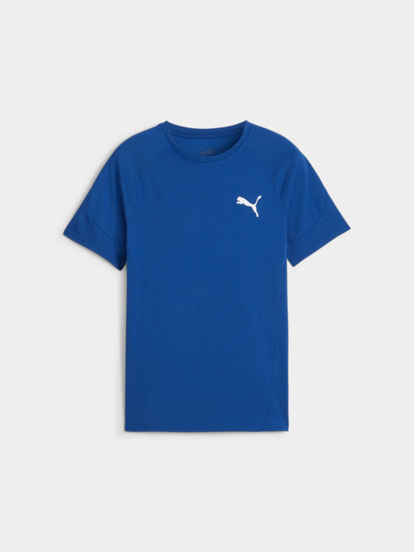 Футболка PUMA Evostripe Tee модель 679195 Фото
