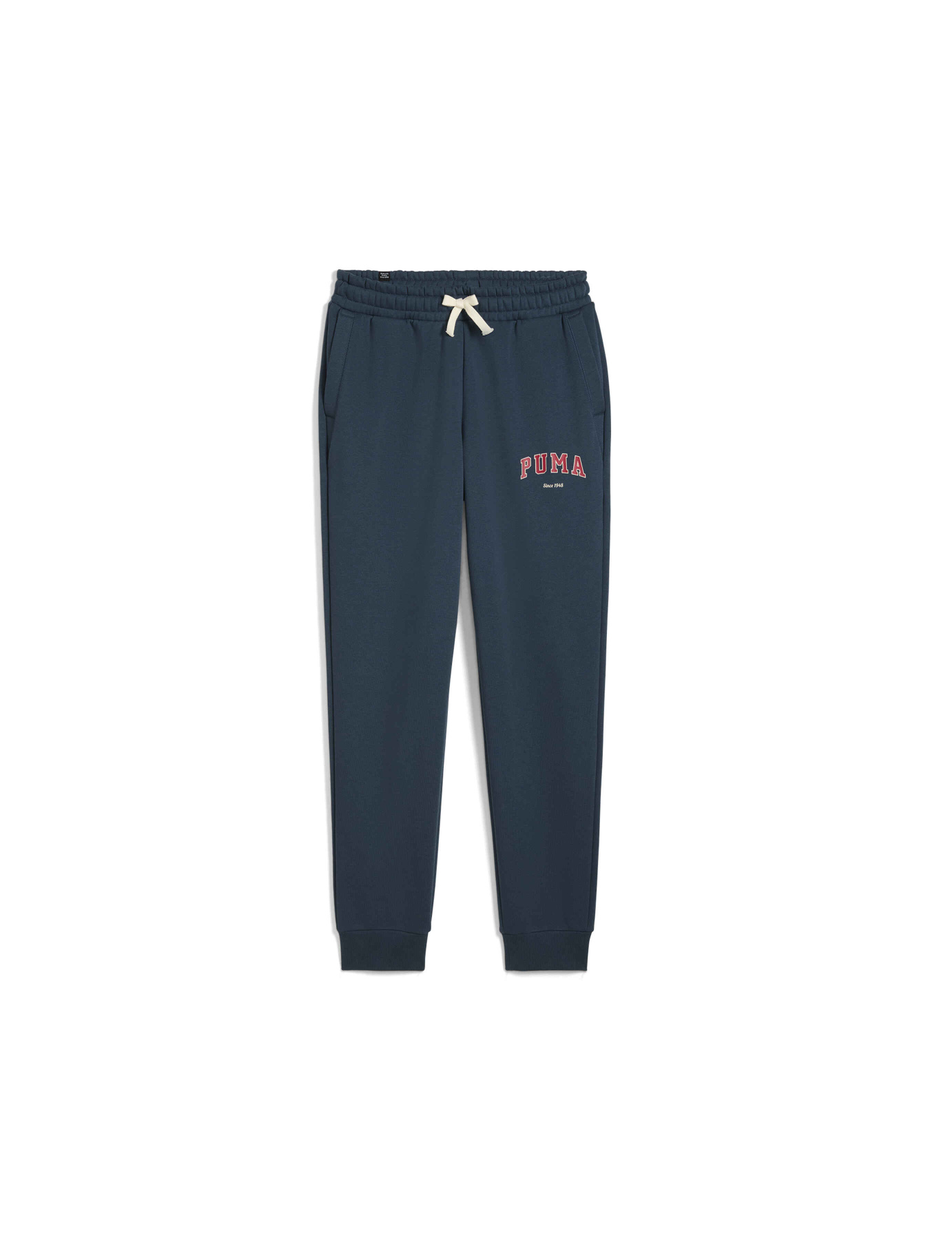 Штаны спортивные PUMA Varsity Sweatpants Fl M модель 679335 Фото