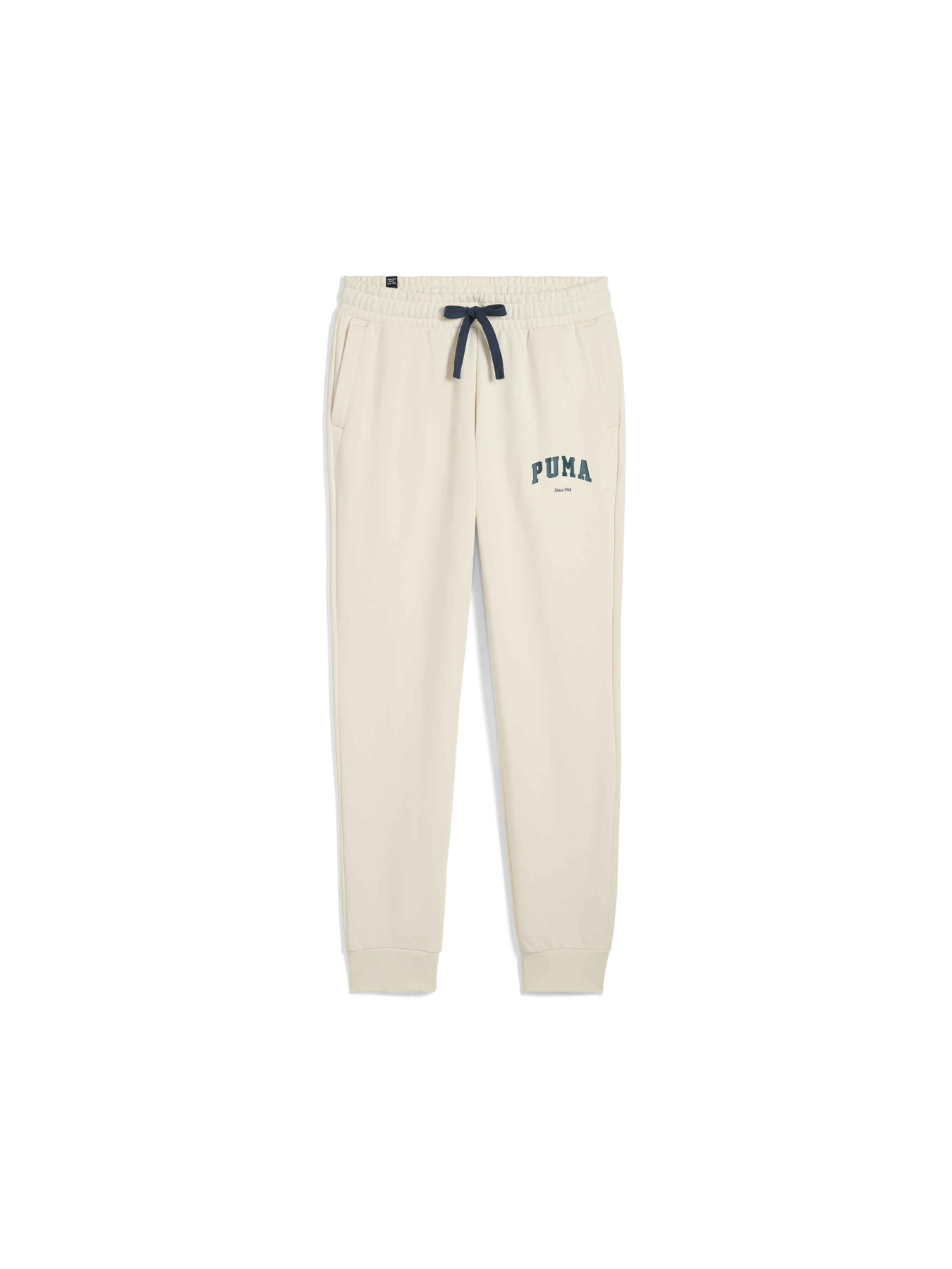 Штаны спортивные PUMA Varsity Sweatpants Fl M модель 679335 Фото