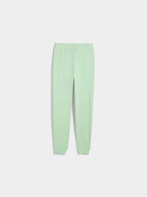 Штаны спортивные PUMA Ess Logo Sweatpants Tr Cl модель 686785 Фото