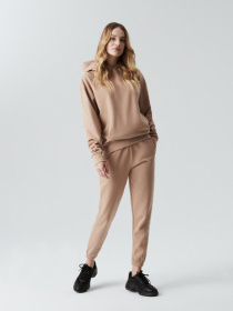 Спортивні штани DIVERSE Klasi модель 10039912 Фото