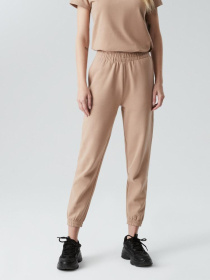 Спортивні штани DIVERSE Klasi модель 10039912 Фото