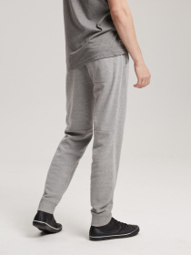 Штаны спортивные DIVERSE Evb Sp 14 модель 10041126 Фото