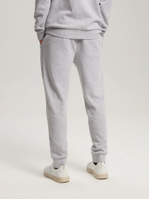 Штани спортивні DIVERSE Rets 2 модель 10041127 Фото