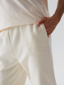 Штаны спортивные DIVERSE Idaso модель 10041132 Фото