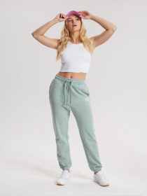 Штани спортивні DIVERSE Calisweat модель 10041537 Фото