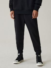 Штаны спортивные DIVERSE Ath Sp 523 модель 10042825 Фото