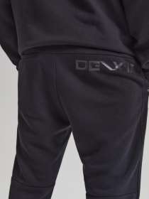 Штаны спортивные DIVERSE Dext Irid J модель 10042826 Фото