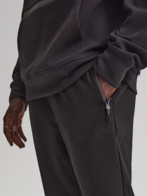 Штаны спортивные DIVERSE Dext Jgrx 2 модель 10042828 Фото