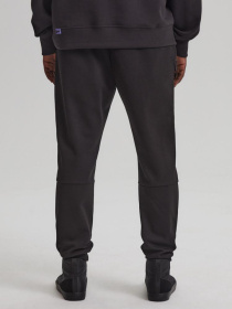 Спортивні штани DIVERSE Dext Jgrx 2 модель 10042828 Фото