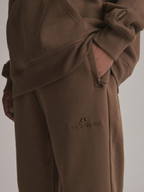 Штаны спортивные DIVERSE Cltn Sp 623 модель 10043306 Фото