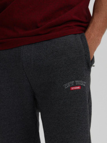 Штаны спортивные DIVERSE Cyro модель 10043057 Фото