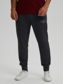 Штаны спортивные DIVERSE Cyro модель 10043057 Фото