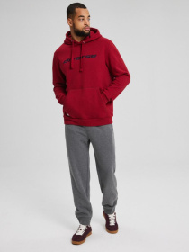 Штаны спортивные DIVERSE Rets 241 модель 10043623 Фото