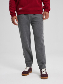 Штаны спортивные DIVERSE Rets 241 модель 10043623 Фото