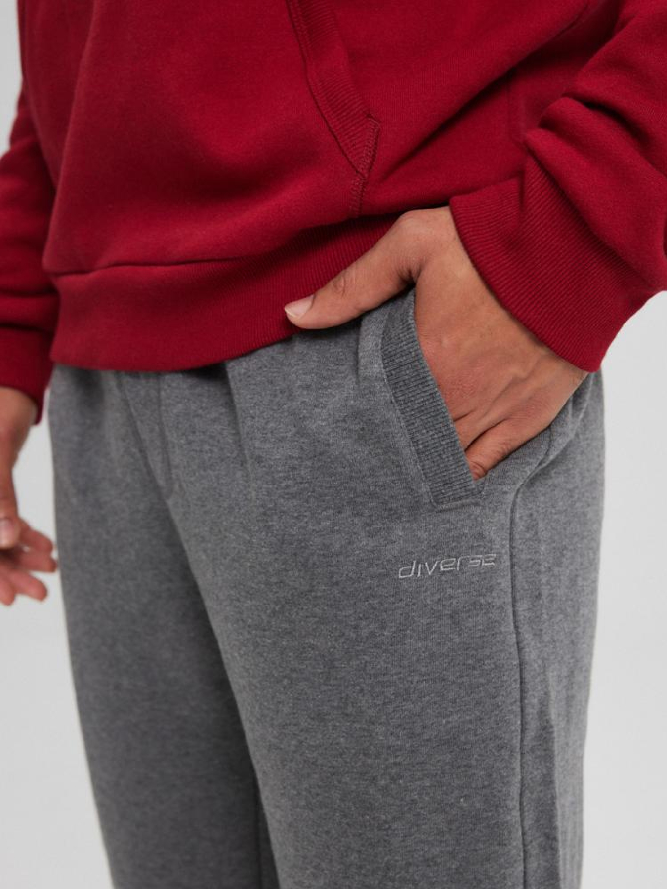 Штаны спортивные DIVERSE Rets 241 модель 10043623 Фото