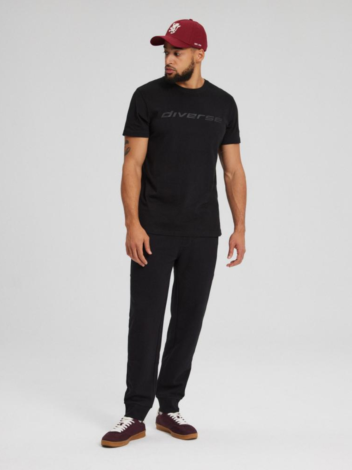 Штаны спортивные DIVERSE Rets 241 модель 10043623 Фото
