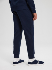 Штани спортивні DIVERSE Rets 241 модель 10043623 Фото