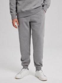 Штани спортивні DIVERSE Evb Sp 241 модель 10043622 Фото