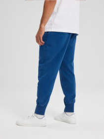 Штаны спортивные DIVERSE Acid S01 модель 10043619 Фото