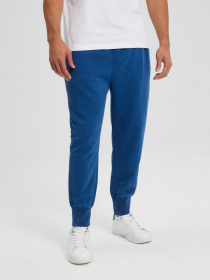 Штаны спортивные DIVERSE Acid S01 модель 10043619 Фото