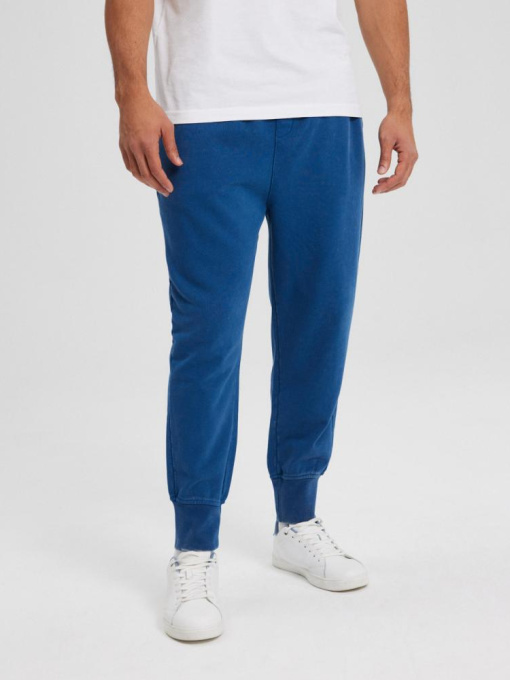 Штаны спортивные DIVERSE Acid S01 модель 10043619 Фото